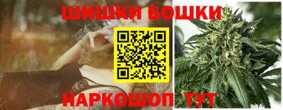 крисы Кулебаки