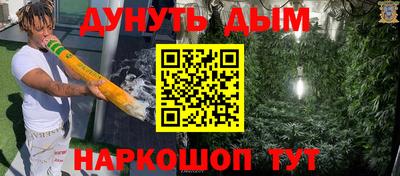 крисы Кулебаки