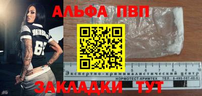 крисы Кулебаки