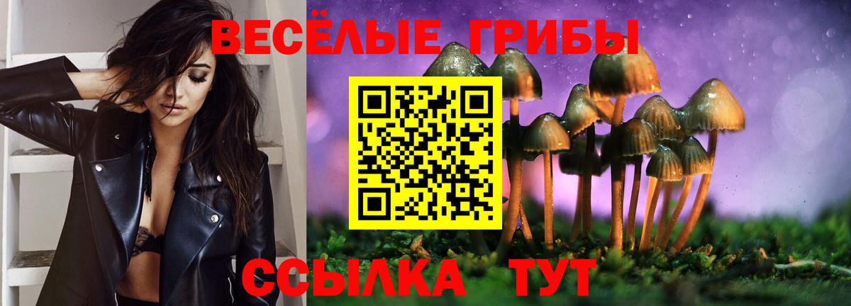 Елизово  Галлюциногенные грибы прущие грибы  Вход с VPN 